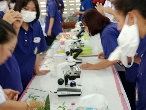 ประมวลกิจกรรมวันวิทยาศาสตร์ ที่โรงเรียนบัวขาว วันที่ 25 สิงหาคม 